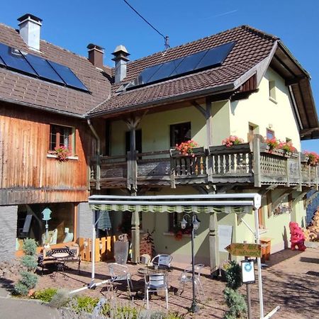 Les 4 Saisons Hotel Kruth Exterior foto