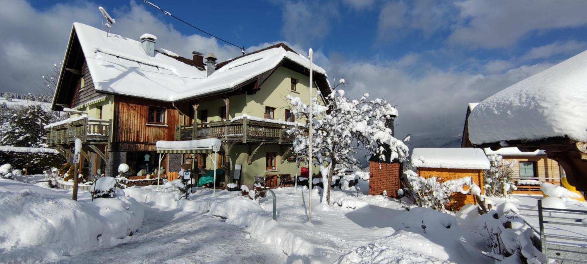 Les 4 Saisons Hotel Kruth Exterior foto